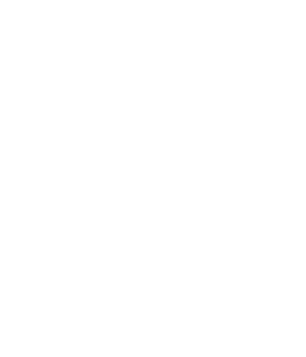 APEX PERFORMANCE